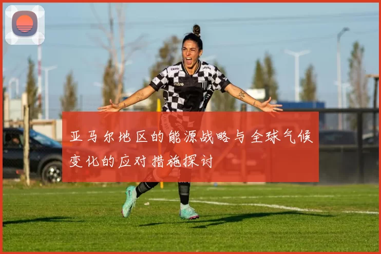 亚马尔地区的能源战略与全球气候变化的应对措施探讨